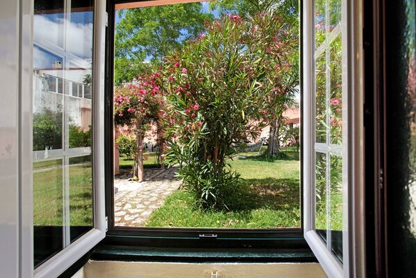 Une fenêtre donnant sur un jardin avec un arbre et un sentier.