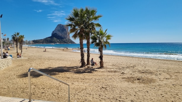 Ein Strand mit Palmen, blauem Himmel und einem Berg im Hintergrund.