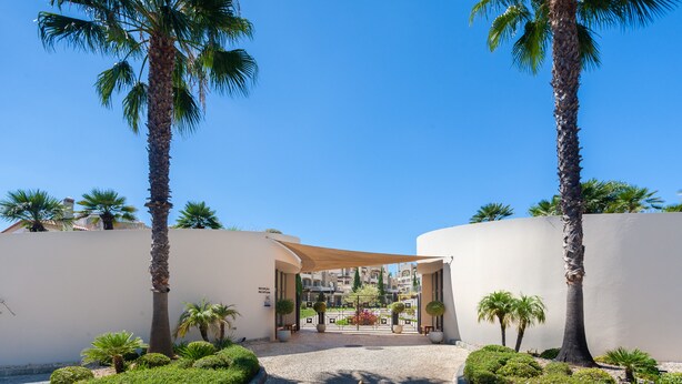 Una entrada con puerta de reja, palmeras, un sendero pavimentado y vistas a una zona residencial con edificios bajo un cielo azul despejado.