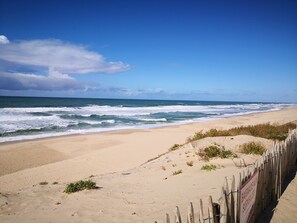 Beach - Le Chalet d'Iris et Maurice (Hourtin)