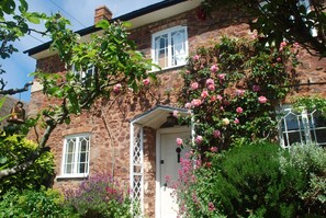 Exterior - Vine Cottage (Minehead)