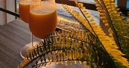 Ocean front | Sunsets | Whales | Surfing