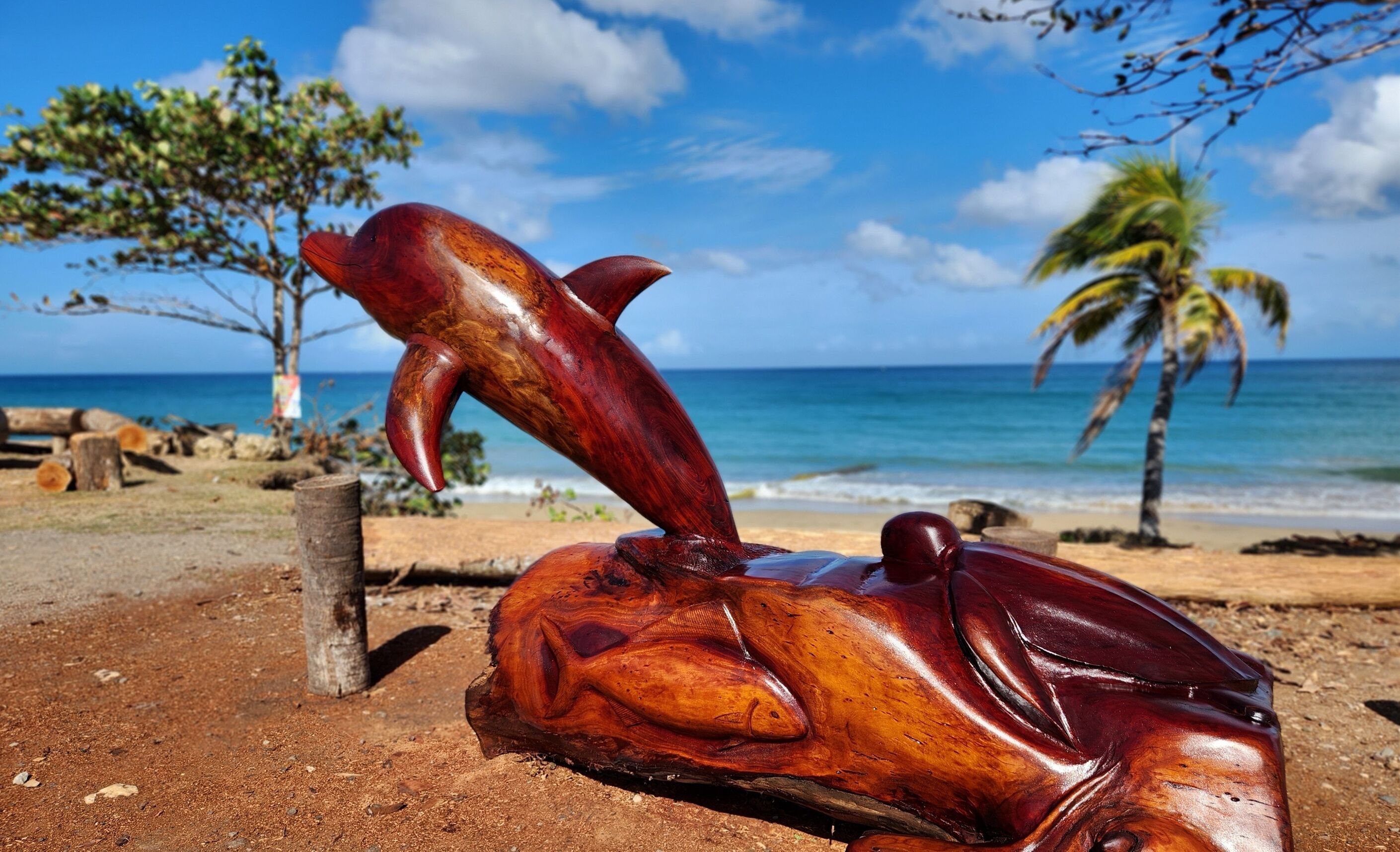 Playa en los alrededores 