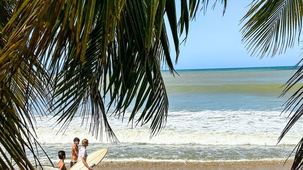 A beach scene with palm trees and ocean waves.