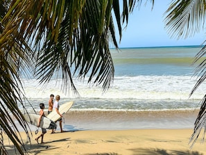 A beach scene with palm trees and ocean waves.