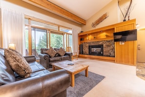 TV, fireplace, books, stereo