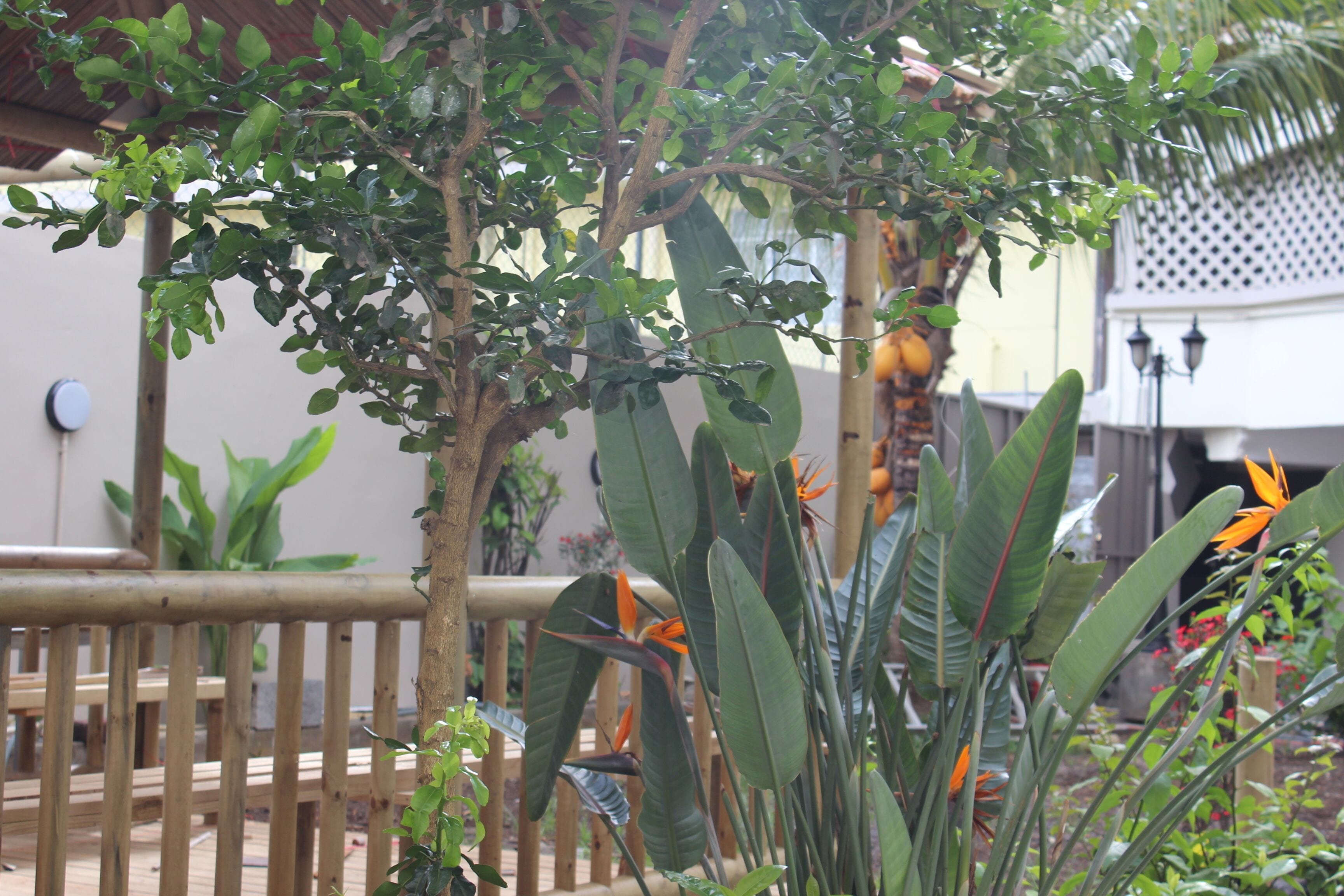 Foto - Sikamifer Tourist Resort