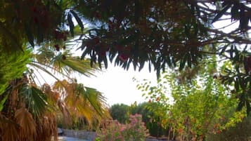 Outdoor banquet area