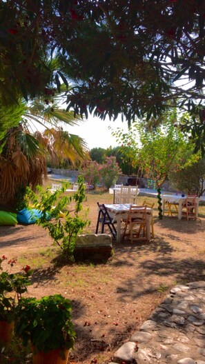 Outdoor banquet area - Merve Bağ Evi Pansiyon (Bozcaada)