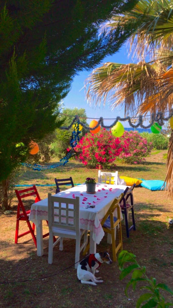 Exterior - Merve Bağ Evi Pansiyon (Bozcaada)