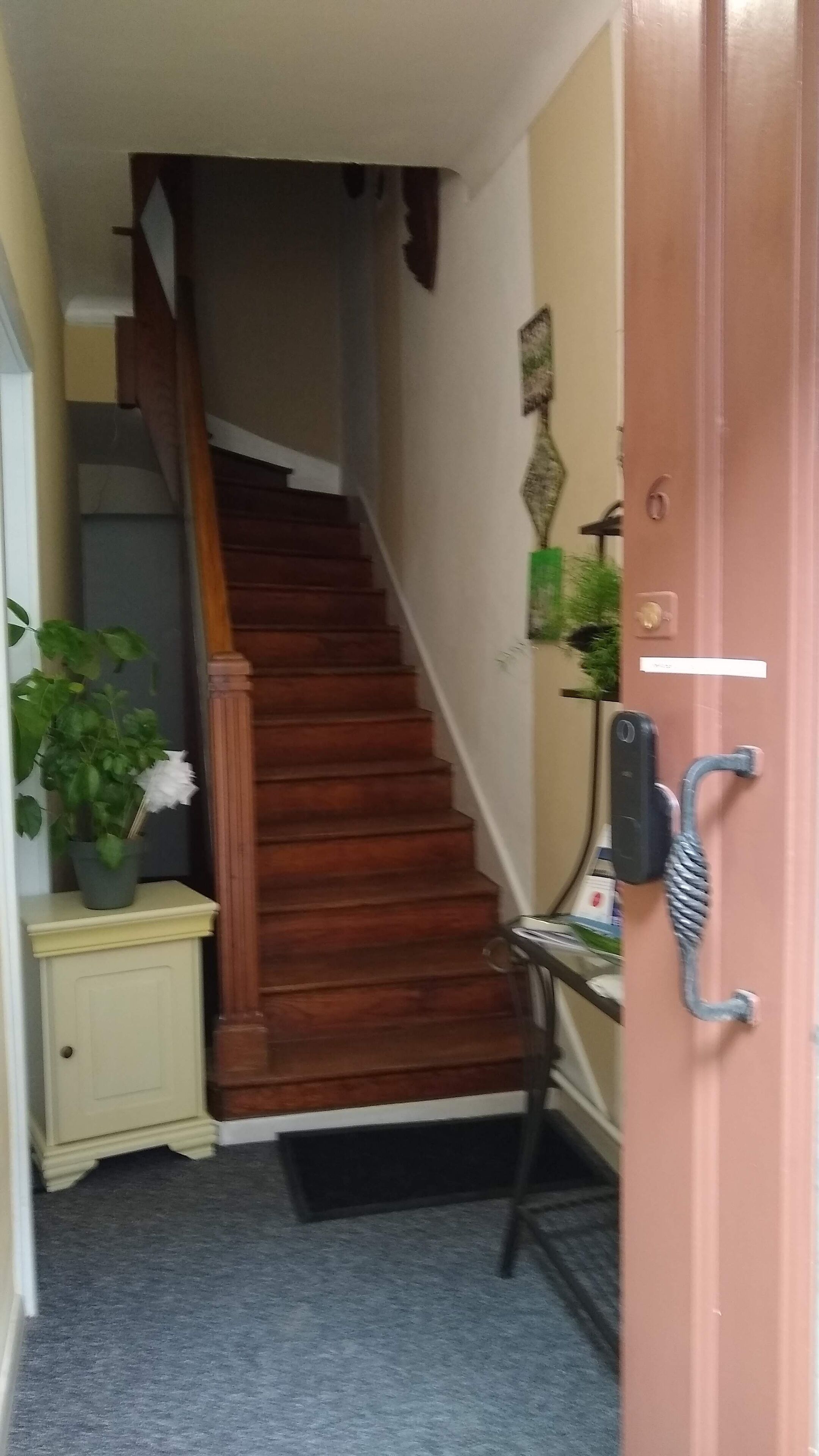 Un escalier menant à un palier avec une porte sur la droite.