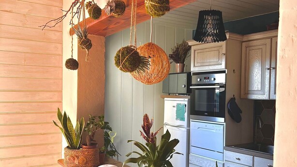 Una cucina con mobili in legno, un piano di lavoro con piante in vaso e decorazioni appese.