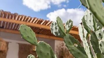 Teras/patio