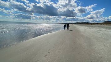 Chaises longues, serviettes de plage
