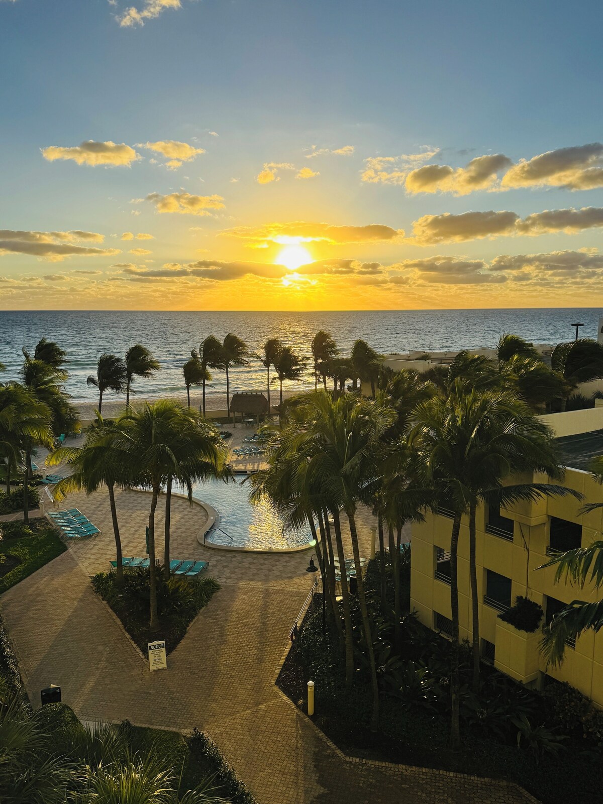 Imagen de perfil del propietario o de la propietaria