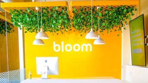 A reception desk with a wooden finish, a bright yellow wall, and hanging green plants. - Bloom Hotel - Gachibowli (Hyderabad)
