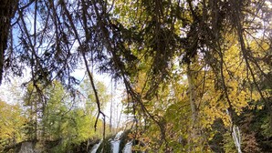 Una cascada se precipita por un risco rocoso hacia un estanque rodeado de árboles con follaje otoñal.