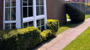 Un immeuble résidentiel doté de grandes fenêtres, d’une façade en briques et d’une pelouse bien entretenue.