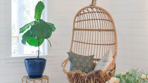 Una habitación con una mecedora colgante, una planta en maceta, una mesa de madera y un ventanal con vistas.