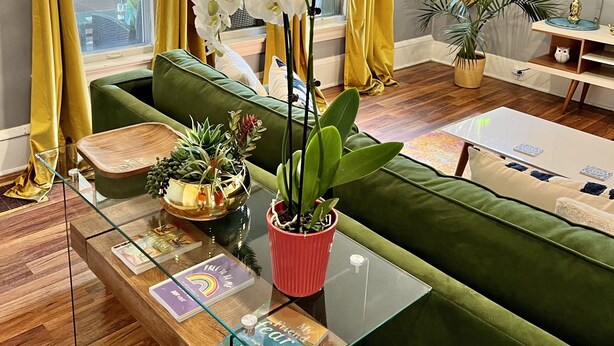 Una sala de estar con un sofá verde, una mesa de centro de vidrio y una planta en maceta.
