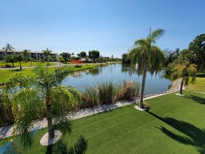 A landscaped area with a pond, palm trees, and a building in the background.