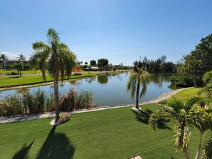 A landscaped area with a pond, palm trees, and a well-maintained lawn.