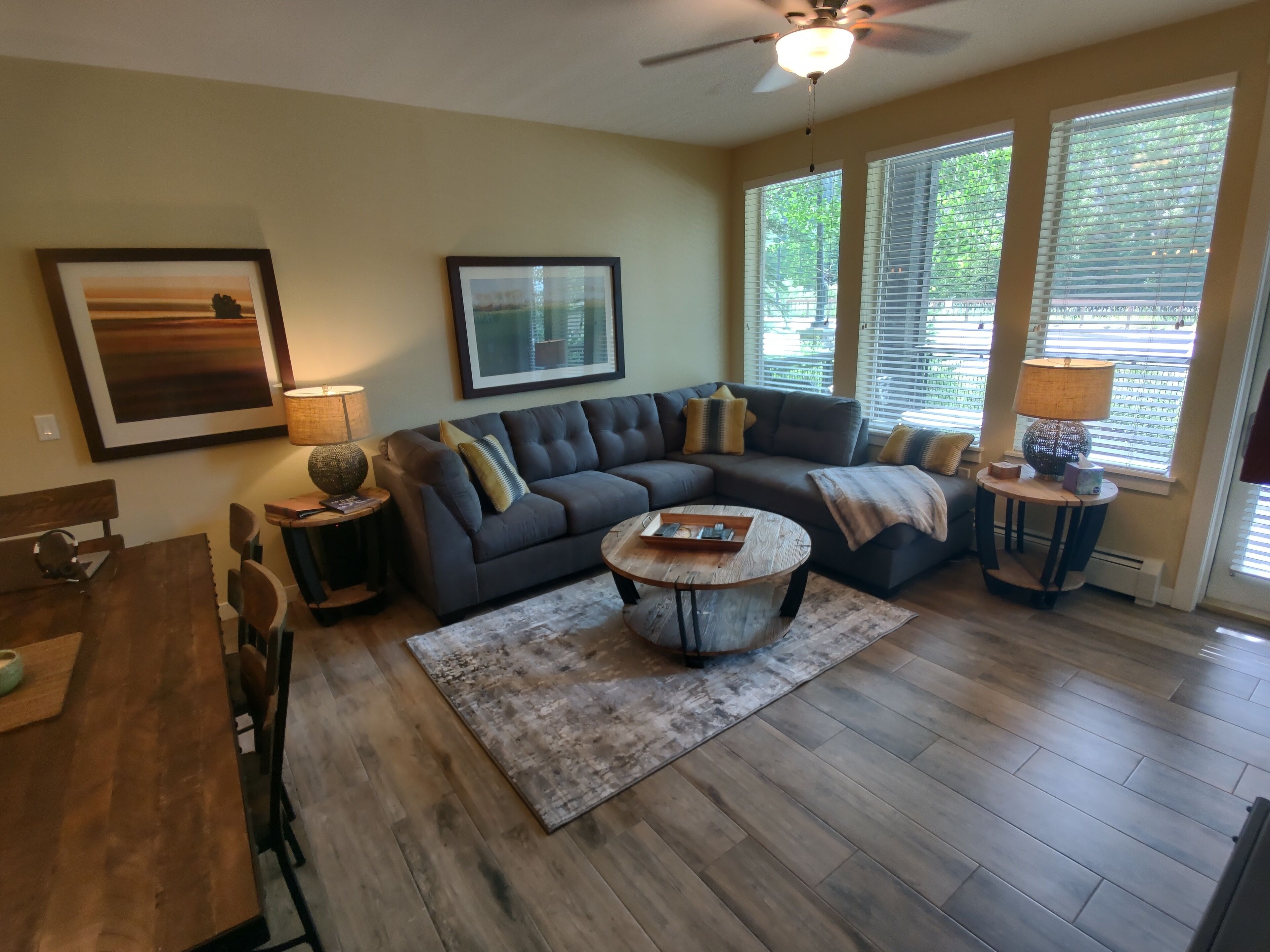 Smart TV, fireplace, DVD player, books