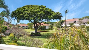 A large tree in a well-maintained garden with a view of residential buildings in the background.