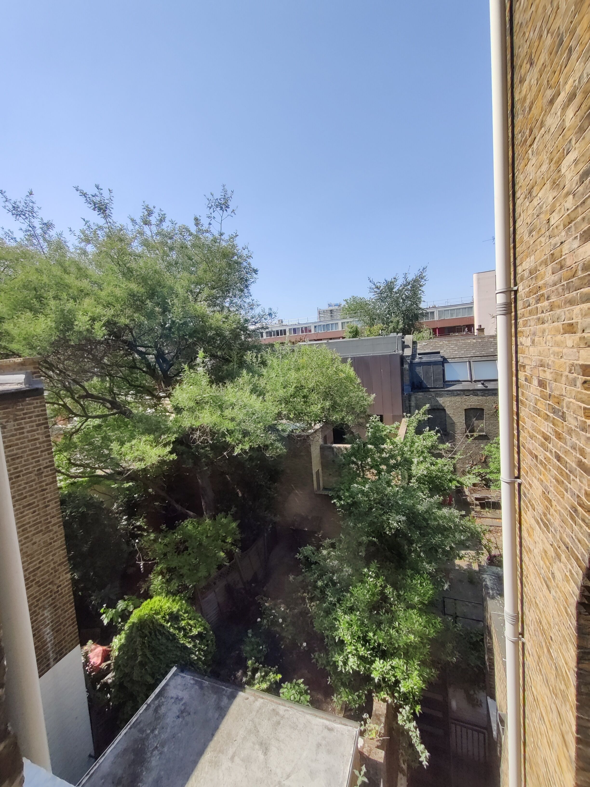 A view of a courtyard with trees and a brick building.