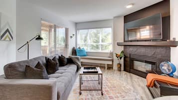 TV connectée, cheminée, chaßne hi-fi