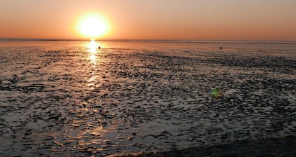Danish coziness on the Wadden Sea - family and dog friendly.