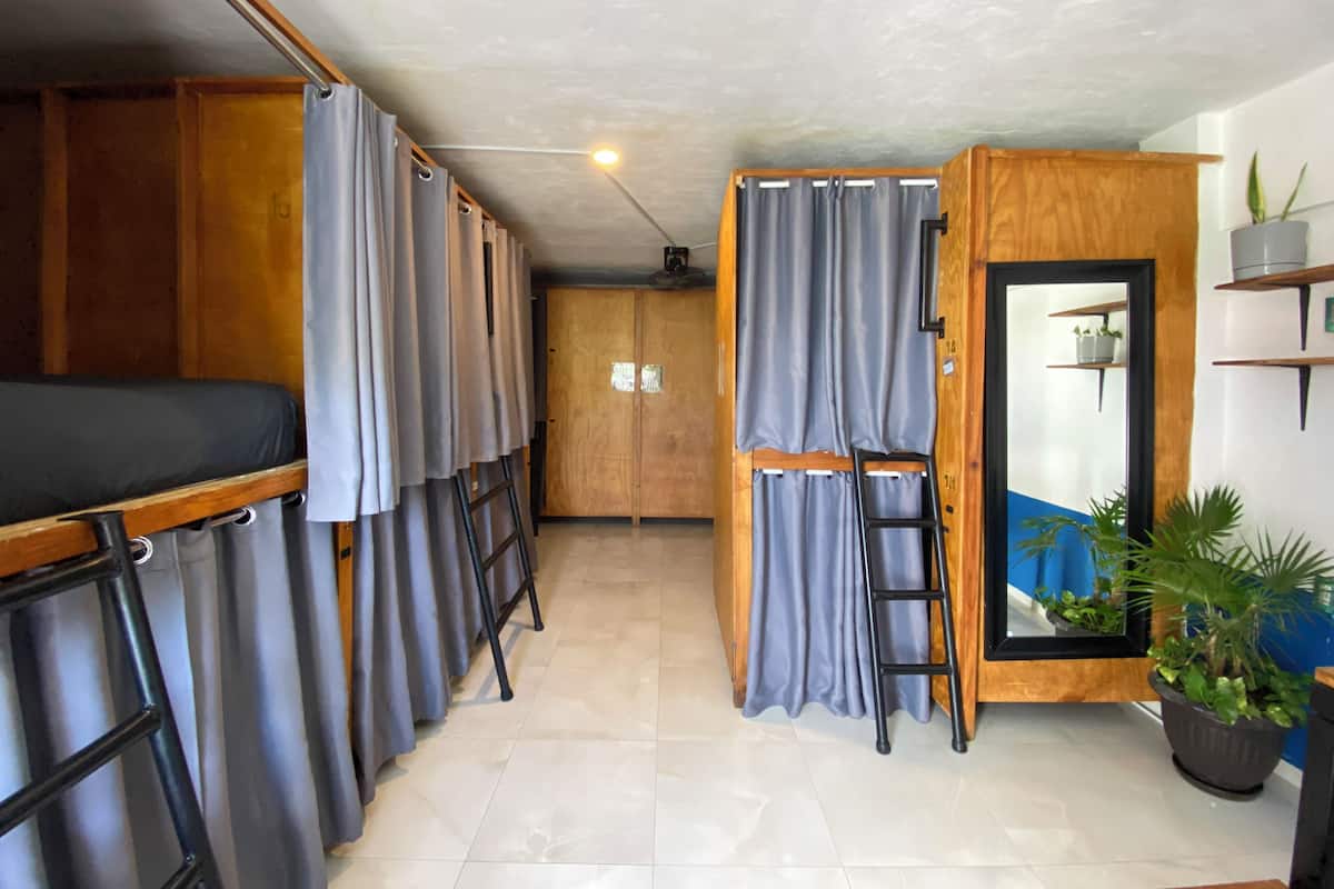 Ein Zimmer mit Etagenbetten, einer Sprossenleiter, einem Spiegel und einer Topfpflanze.