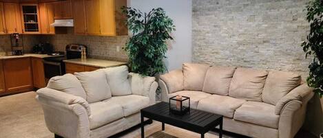 Smart TV, Netflix, streaming services