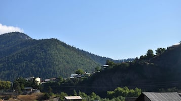 Vista desde la propiedad