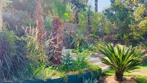 Ein Garten mit verschiedenen Pflanzen und Bäumen, darunter Palmen und eine Steinmauer.