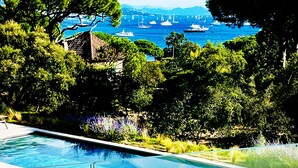 Ein Pool mit Liegestühlen, umgeben von üppiger Vegetation und Blick auf das Meer mit Booten.