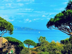 A coastal landscape with a clear view of the sea, a sailboat, and dense greenery.
