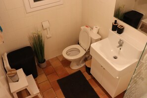 Combined shower/bathtub, hair dryer