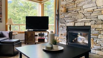 Smart TV, chimenea, libros y estéreo