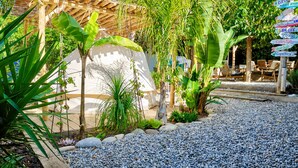 A garden with a pergola, tropical plants, and a gravel path.