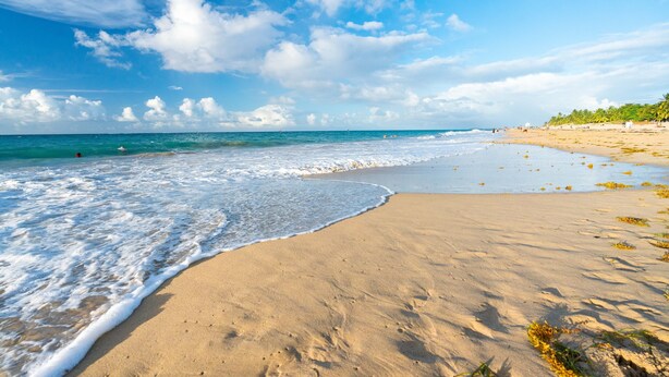 A beach with clear blue water, sandy shore, and some vegetation.