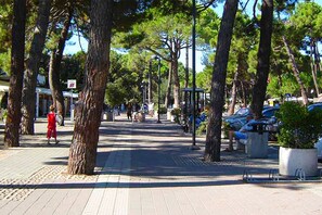 Miscellaneous - Apartment of Cira in Principina a Mare (Principina a Mare)