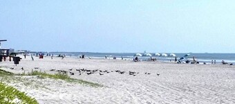 Tropical 1BR Oasis - Steps to Beach!