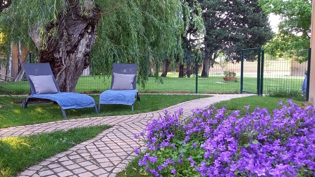 Un jardín con dos sillones de descanso bajo un árbol grande, un camino empedrado y una cerca que delimita el espacio.