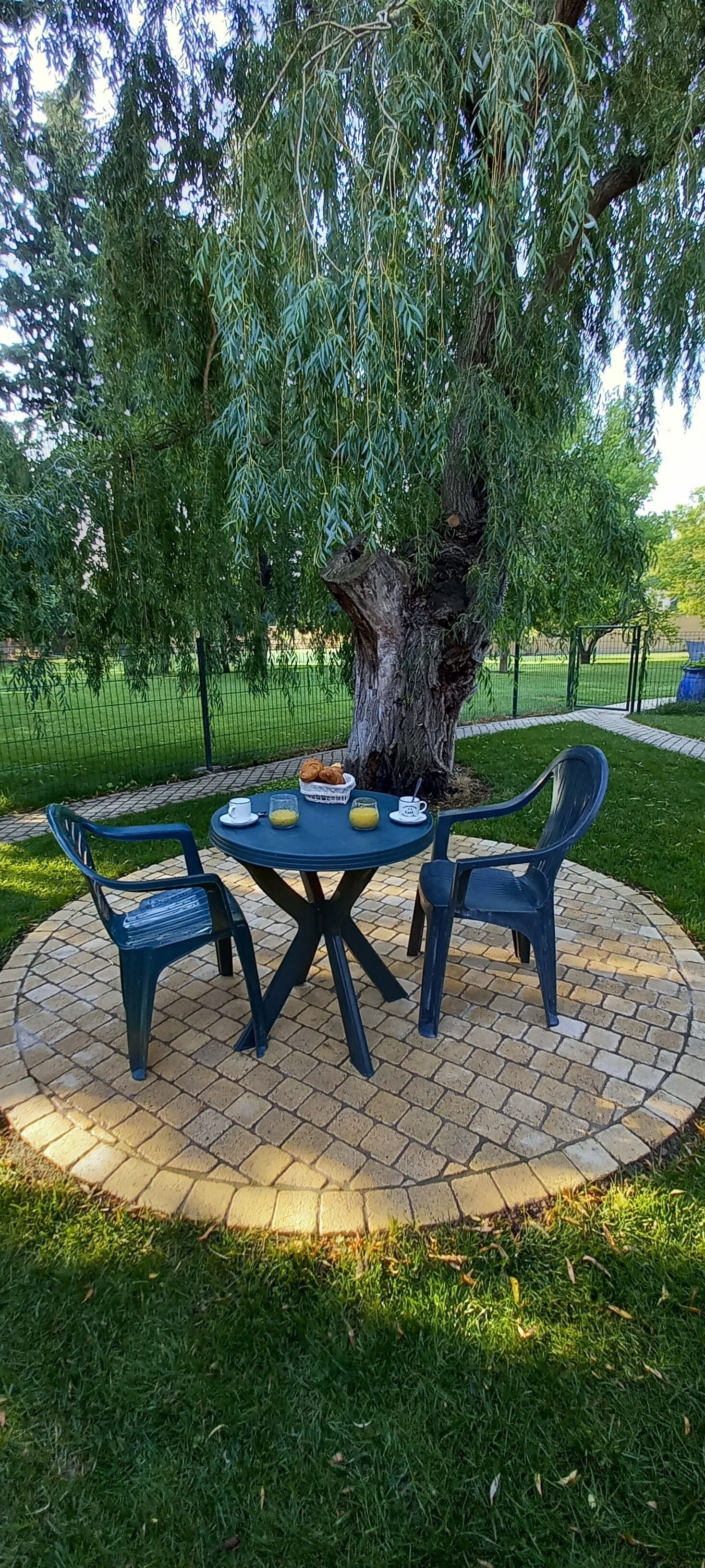 A round table with chairs under a large tree, surrounded by a paved area with a grassy border.