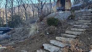 A wooden cabin with a circular entrance, surrounded by a stone staircase and a forested hillside. - Little Bee Woods (Swannanoa)
