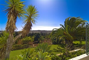 Terrain de l’hébergement 