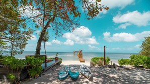 Una playa con kayaks, un banco de madera y vistas al océano.