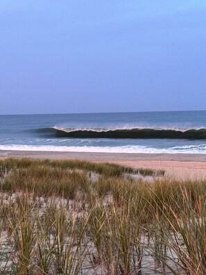 Una playa con olas, arena y césped.