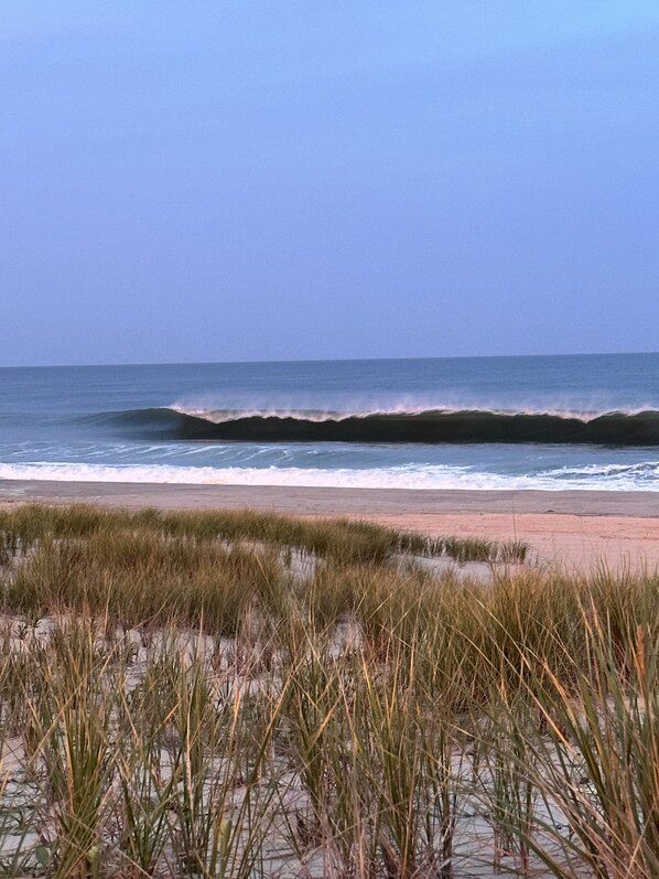 On the beach, sun loungers